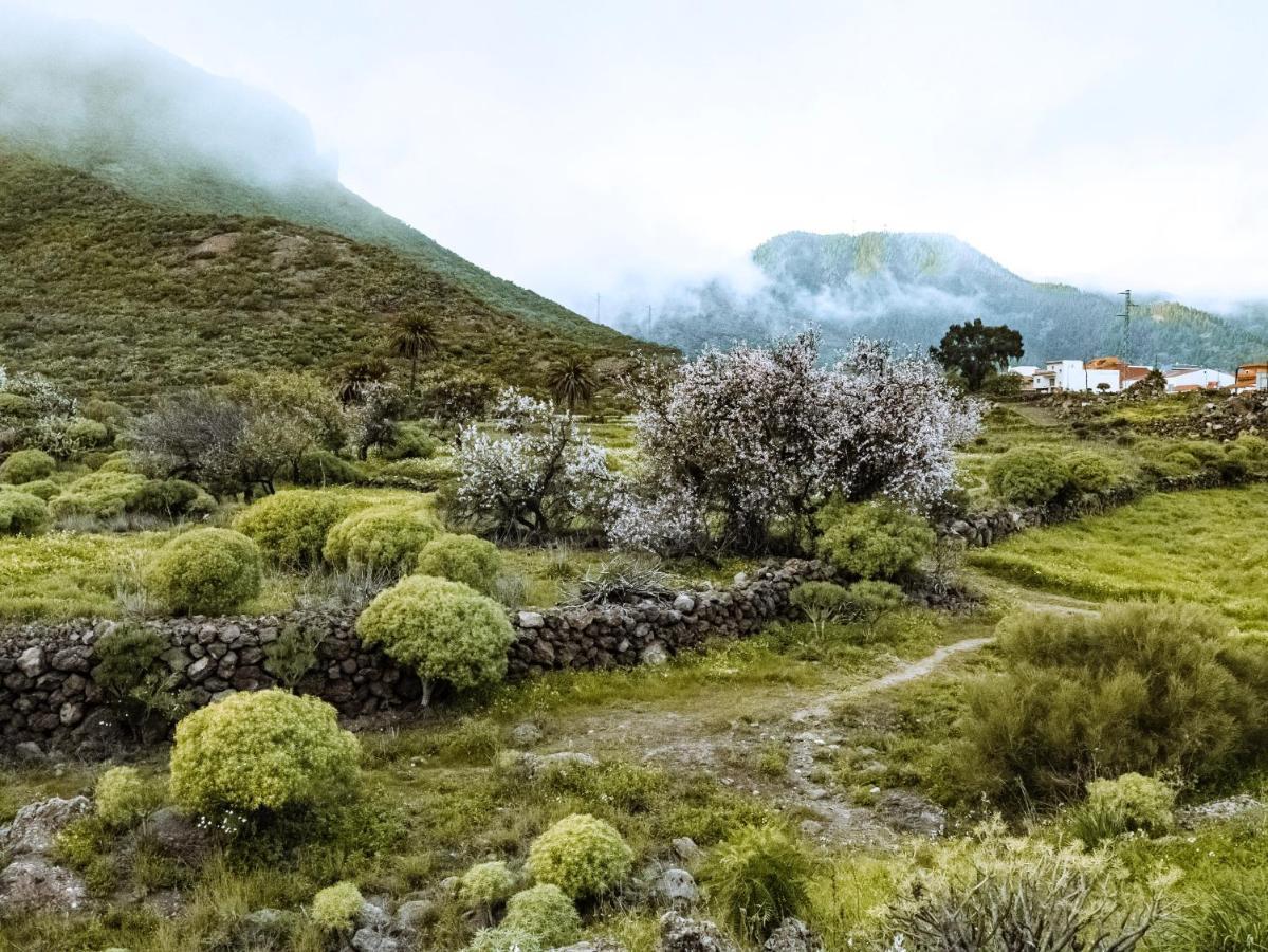 Luxury Villa In Nature With Swimming Pool Tenerife, Santiago Del Teide, With Sea And Mountain Views El Retamar Ngoại thất bức ảnh