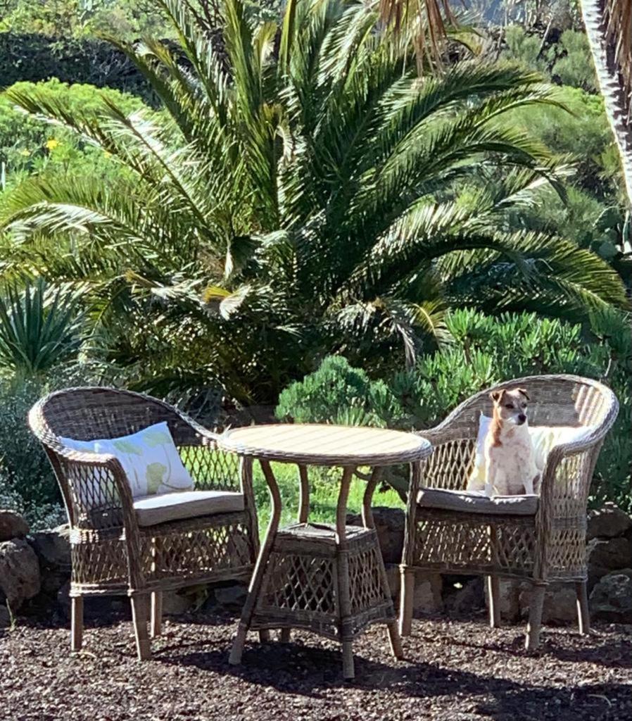 Luxury Villa In Nature With Swimming Pool Tenerife, Santiago Del Teide, With Sea And Mountain Views El Retamar Phòng bức ảnh
